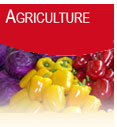 Agriculture