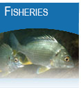 Fisheries