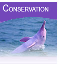 CONSERVATION