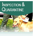 Quarantine & Pesticides