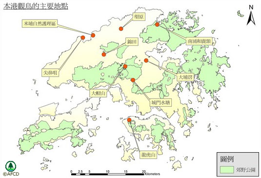 本 港 觀 鳥 的 主 要 地 點