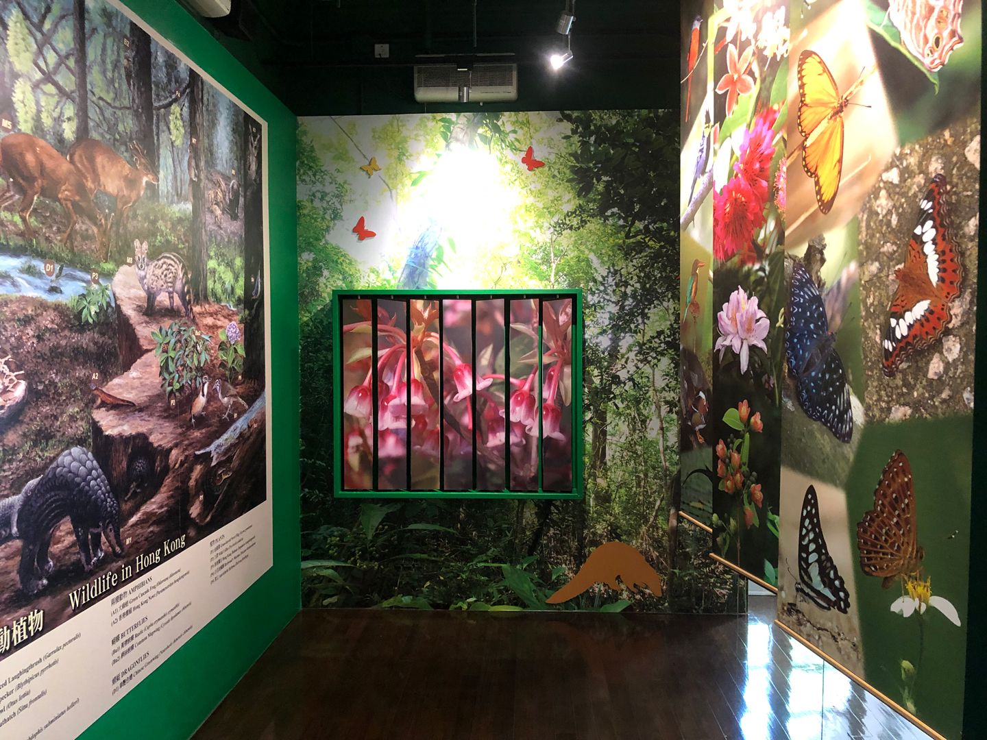 林邊生物多樣性自然教育中心內的展覽板